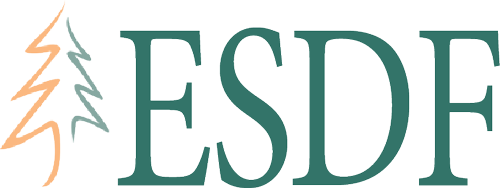 Evergreen School District Foundation